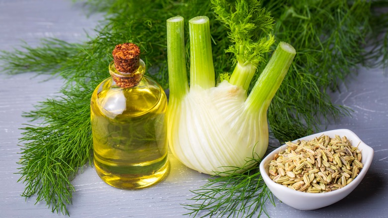 bottle of oil with fennel bulb and seeds