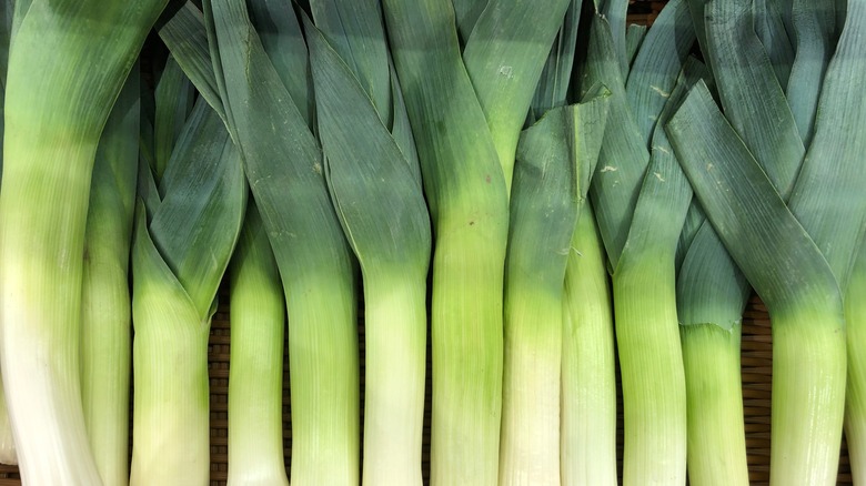 several leeks in a row