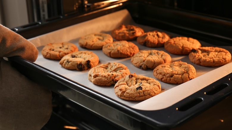 Freshly baked chocolate chip cookies