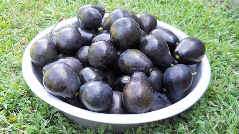 metal bowl of dark avocados on grass