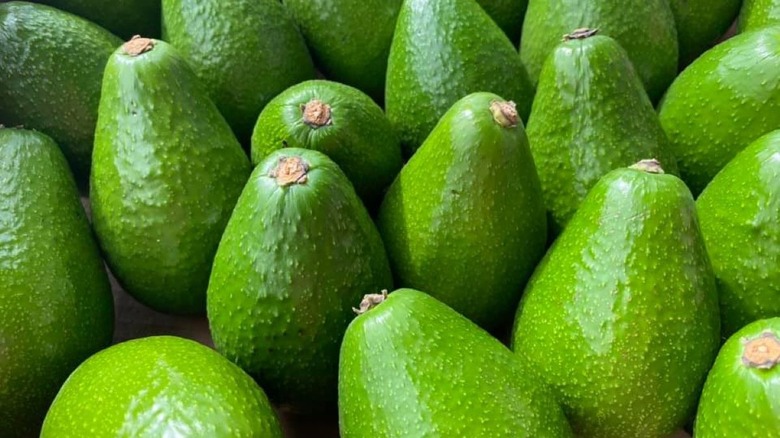 many bright green avocados sitting upright 