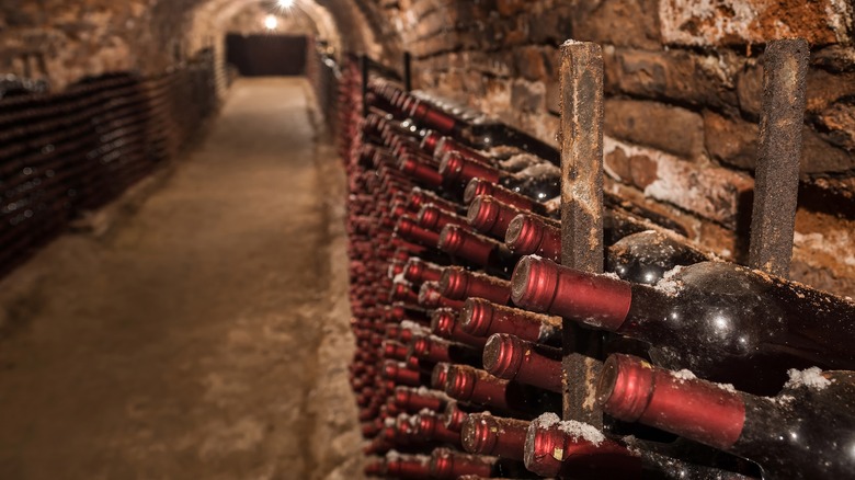 dusty wine bottles in tunnel