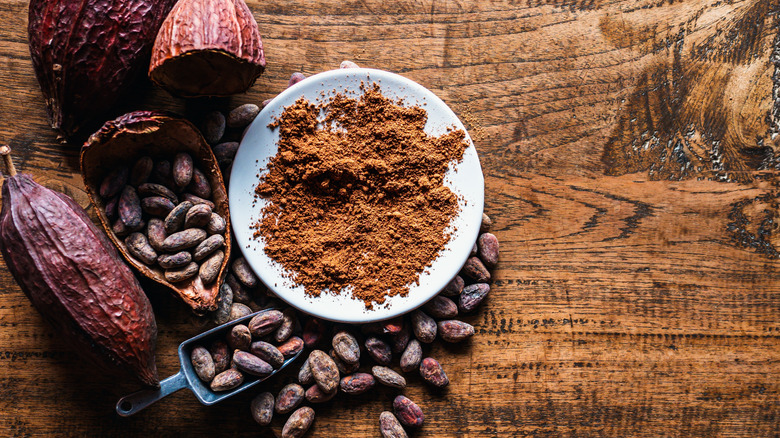 Cacao pods, cocoa beans, and cocoa powder in bowl