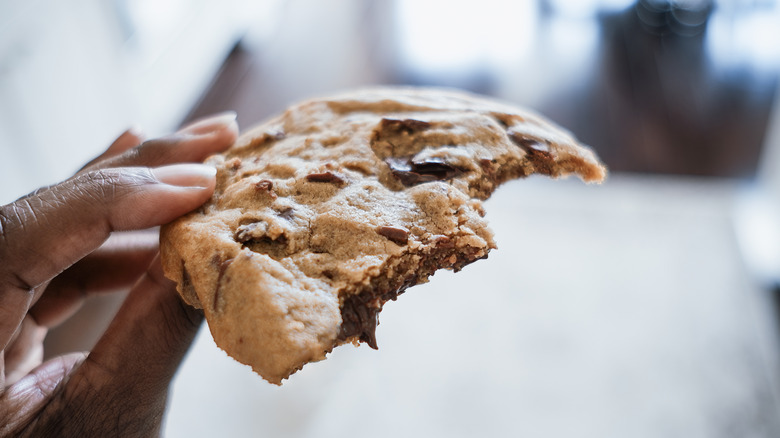 Close-up of woman holding chocolate chip cookie