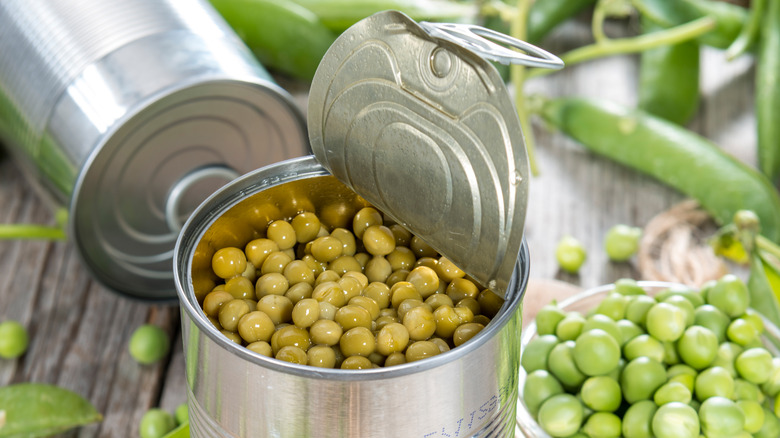 Opened can of cooked peas, with fresh garden peas in the background.