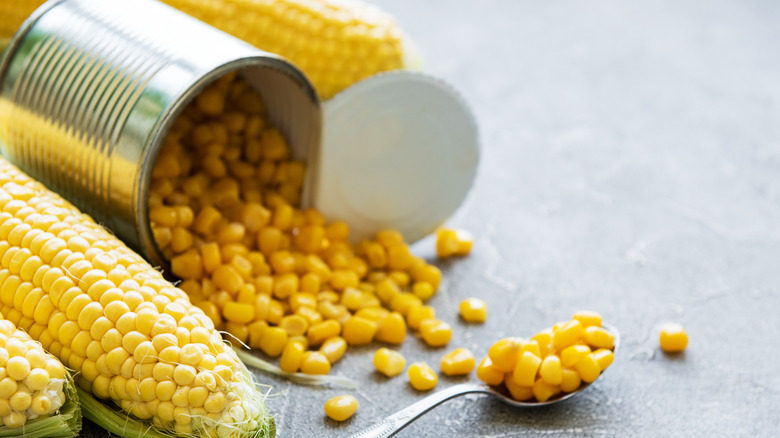 Corn spilling out of a can, surrounded by ears of fresh corn.