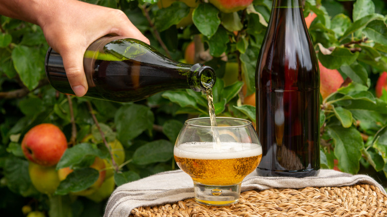 pouring sparkling apple cider