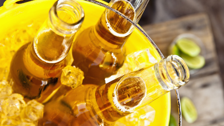 Beer bottles in yellow bucket