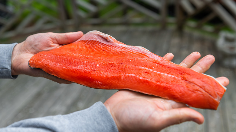 raw filet of sockeye salmon