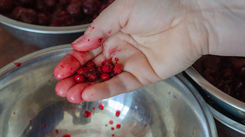 person holding cherry pits