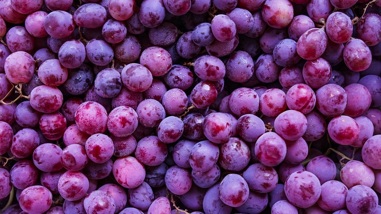 bunches of red grapes