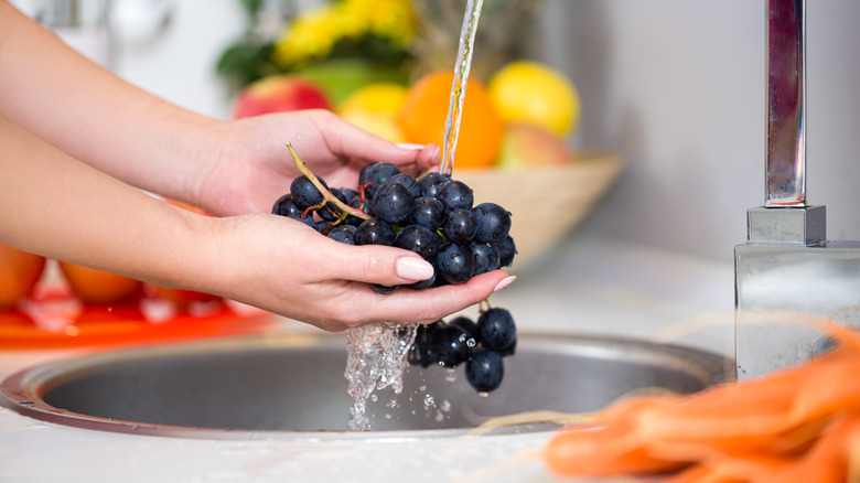 person washing grapes