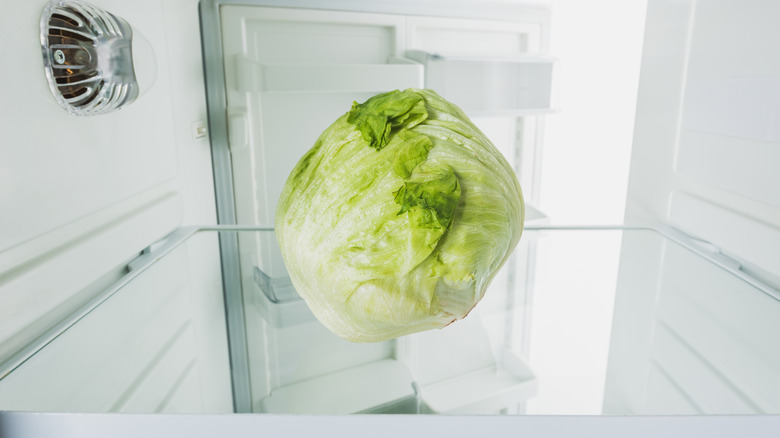 cabbage in fridge