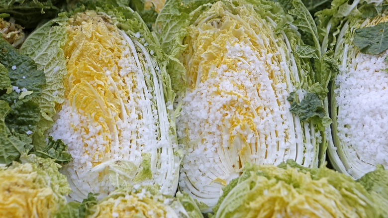 sliced cabbage with salt