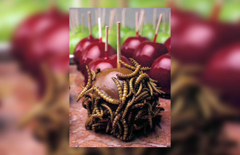 Mealworm-Covered Caramel Apples 