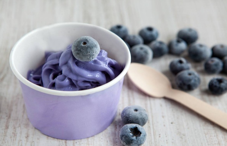 Blueberry Frozen Yogurt