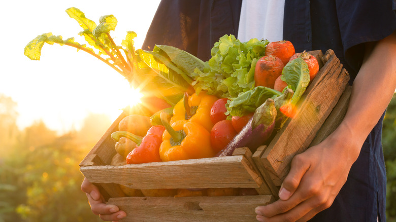 crate of fresh vegetables