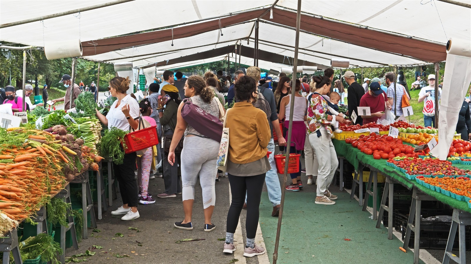 10 Crucial Tips for Shopping at Farmers Markets