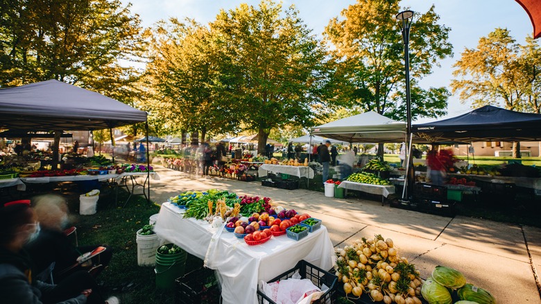 farmers market vendors