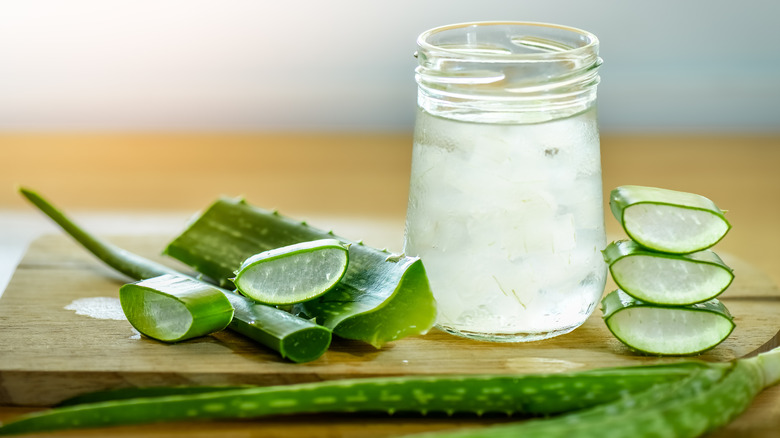 glass of aloe vera juice next to plant