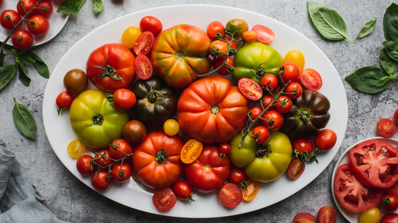 Assorted fresh tomatoes