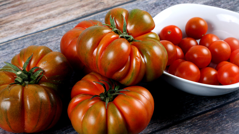 Brandywine and cherry tomatoes