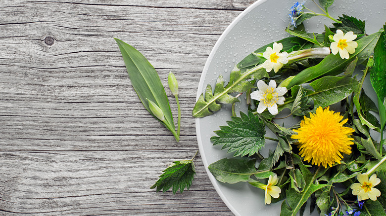 plate of dandelion leaves