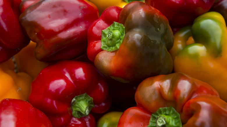 close up of red and orange bell peppers