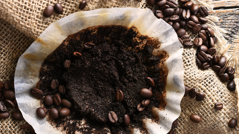 Coffee filter with wet grounds