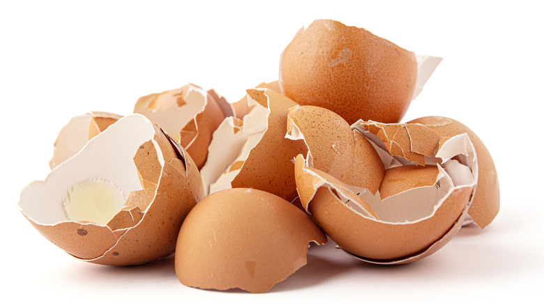 Pile of cracked eggshells