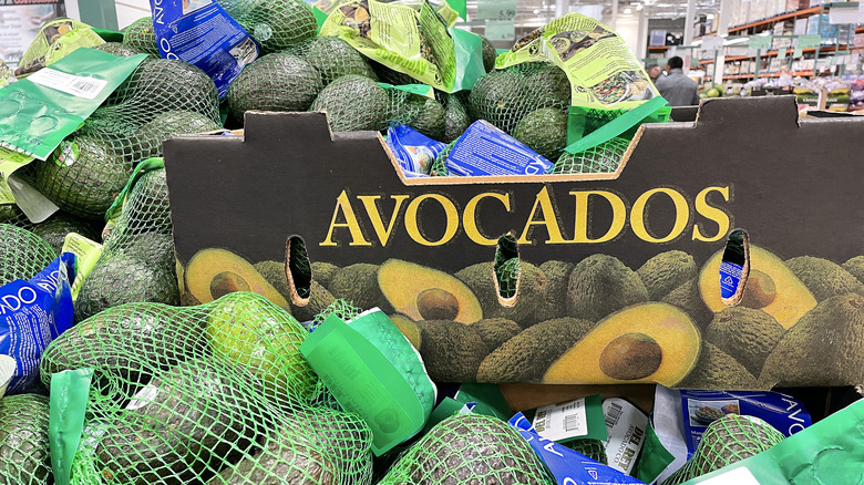 bags of avocados at store