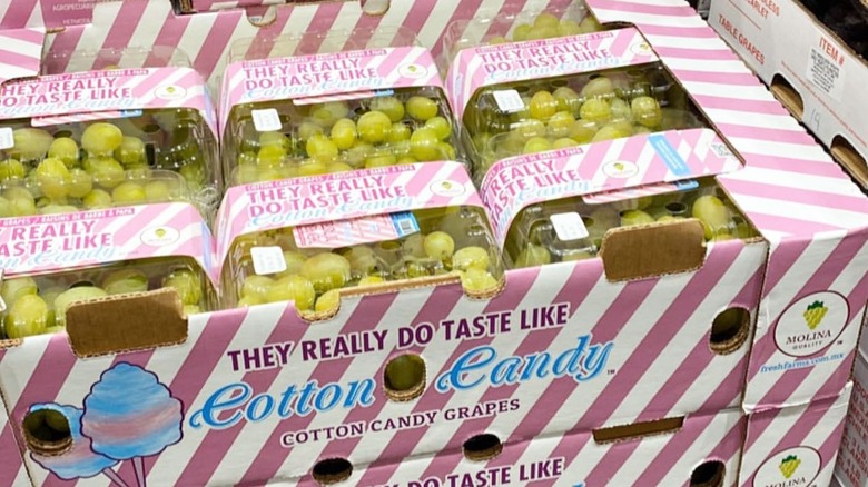 cotton candy grapes display