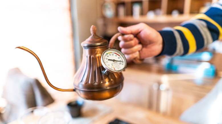 Gooseneck kettle with thermometer