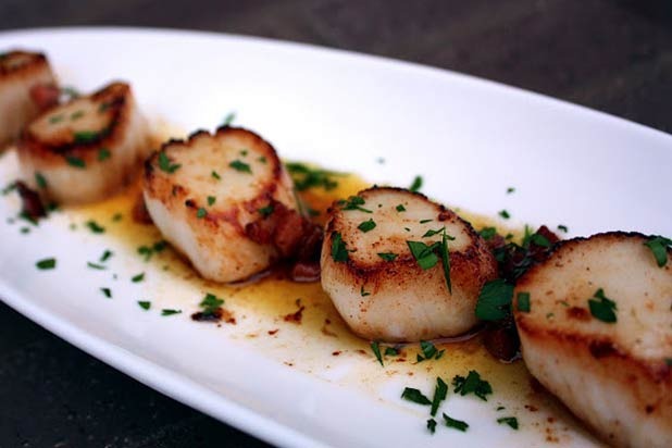 Pan-Seared Scallops