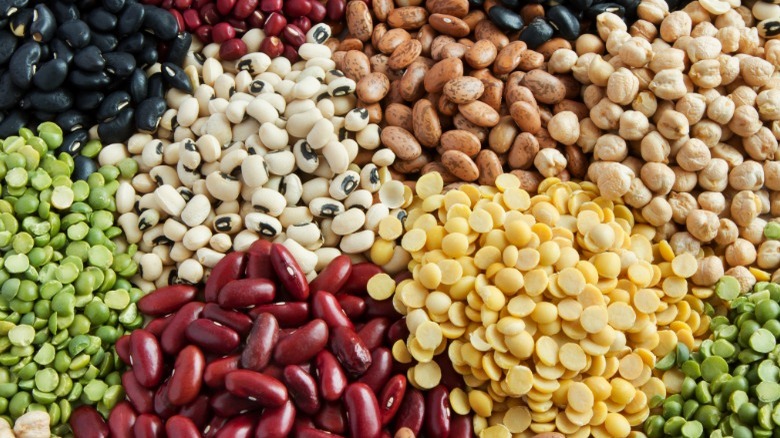 colorful assortment of dried beans