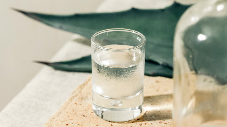 agave mezcal in shot glass