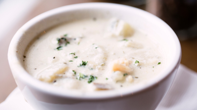 Close-up of clam chowder