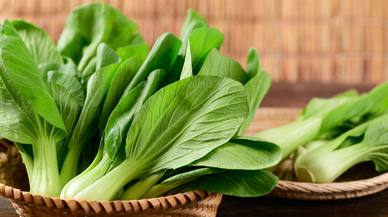 Bok choy in basket