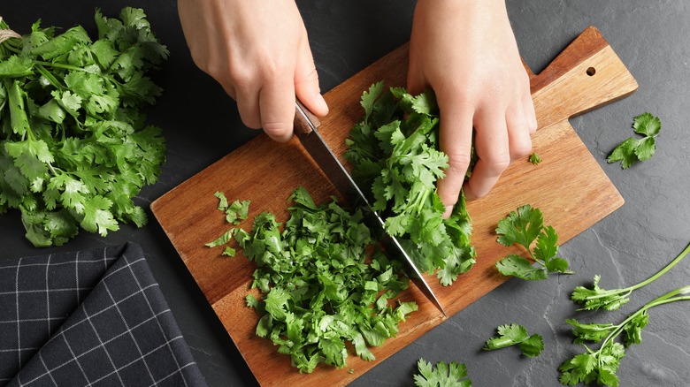 Cilantro chopped on cutting board