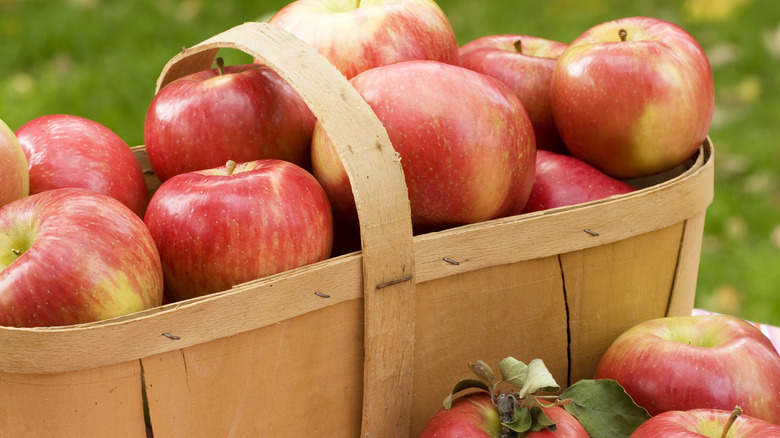 basket of red apples