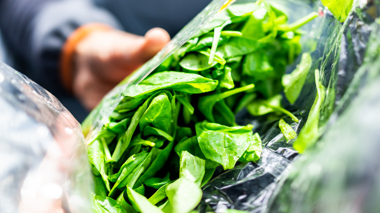 Spinach leaves inside bag