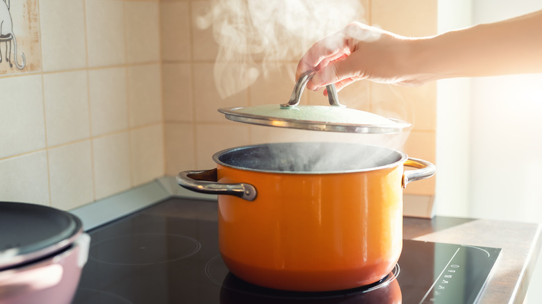 hand opening lid on steaming pot