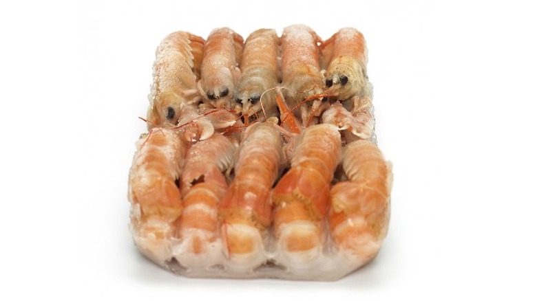 Block frozen shrimp