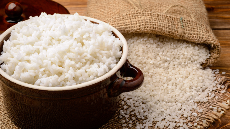 Cooked rice in pot