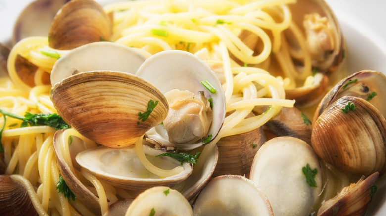 clam linguine noodles with herbs