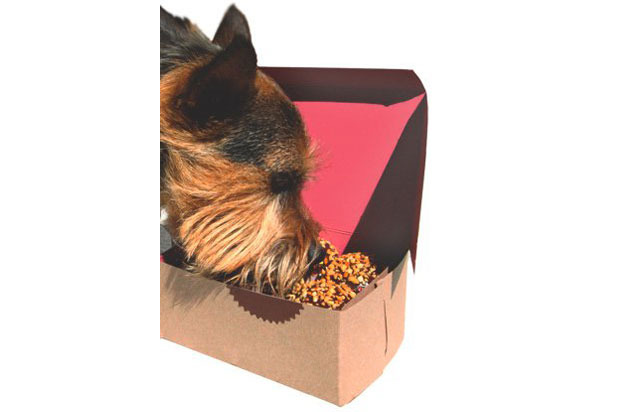 Doggie Cupcakes — Sprinkles Cupcakes