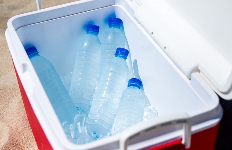 Frozen Water Bottles