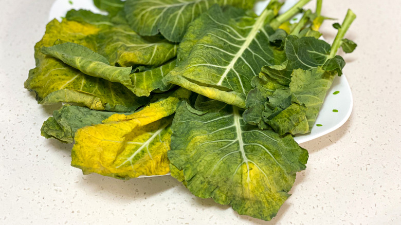 plate of kale turning yellow