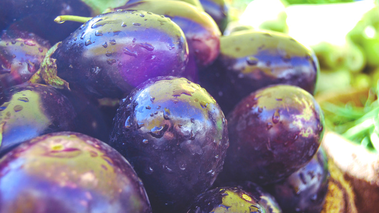 wet eggplant