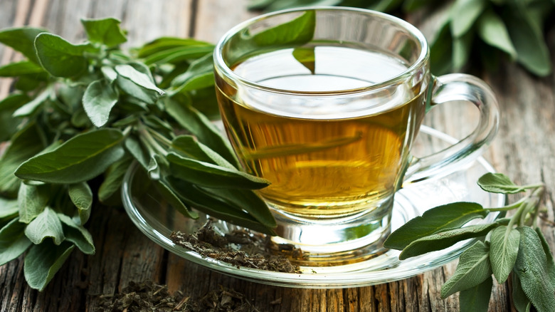 Sage tea with sage leaves